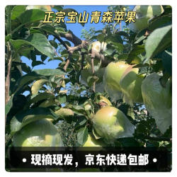 正宗青森水蜜桃苹果明月苹果山东青岛宝山核心产地酥脆新鲜水果