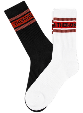 23春夏新款TheNorthFace北面户外男女款2双装中筒透气运动袜|5FWZ