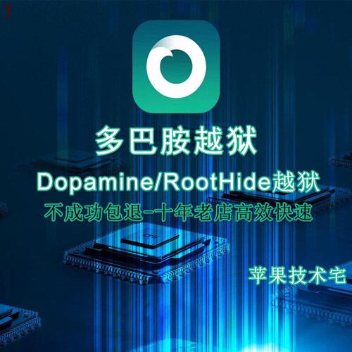 适用于苹果iPad平板多巴胺dopamineroothide越狱支持IOS1516M12