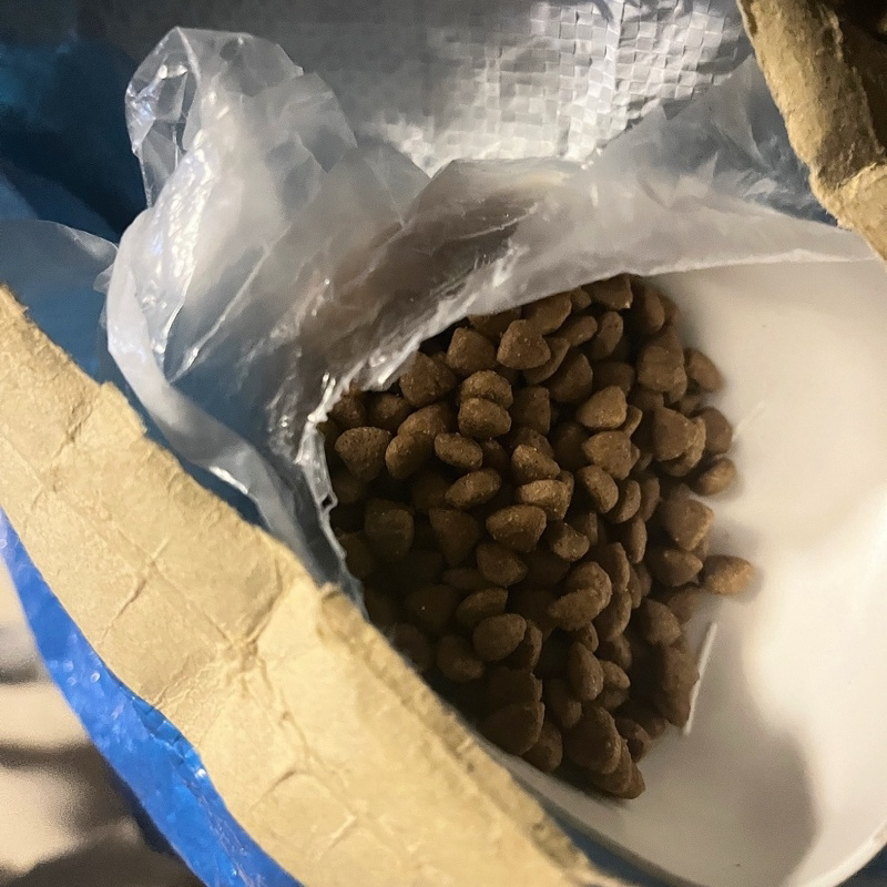 熊出没狗粮通用犬粮幼犬成犬金毛泰迪哈士奇柯基土狗冻干多拼便宜