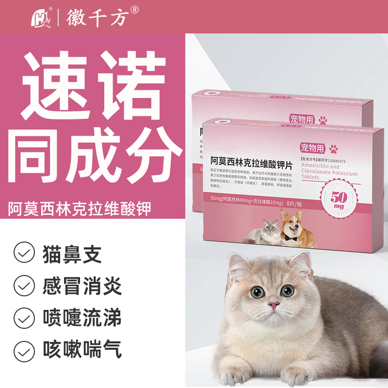 宠物用阿莫西林克拉维酸钾片感冒