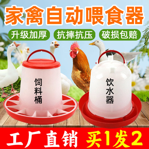喂鸡鸭鹅水壶食槽自动喂食器