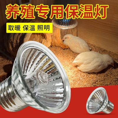 芦丁鸡保温灯小鸡取暖灯宠物保暖冬季加热温控器过冬神器恒温保暖