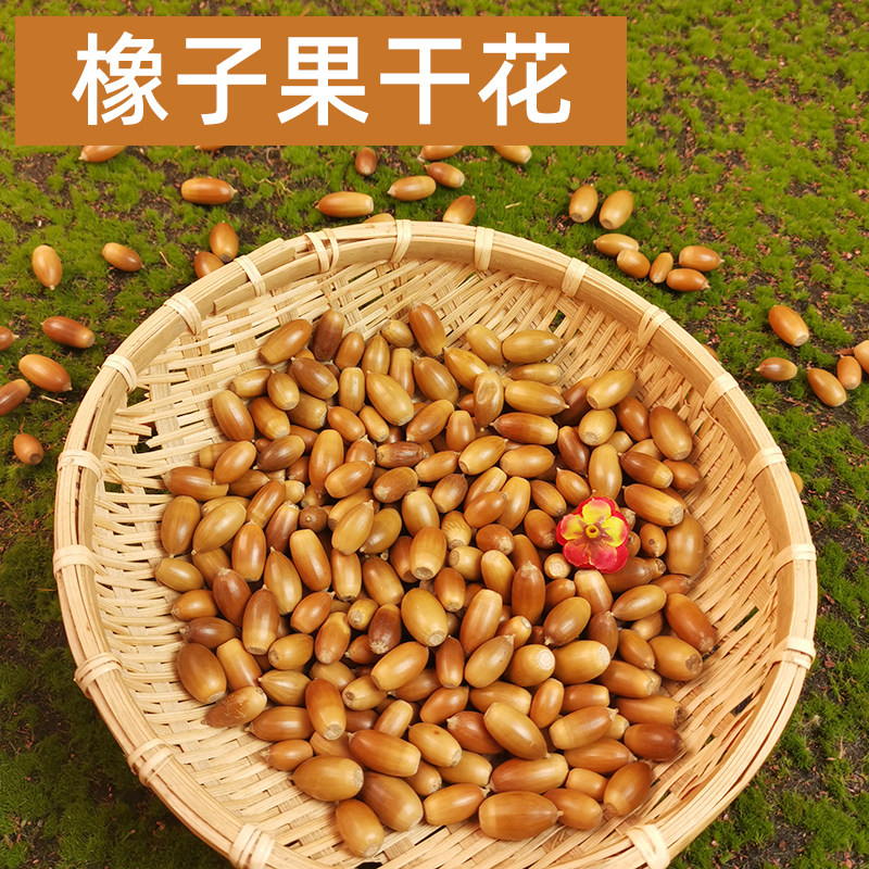 橡子果干花颗粒饱满儿童创意手作材料家居布景节日装饰DIY 相框画,家居饰品,干花/花瓣/干花包/干树枝,淘宝优惠券,粉丝福利购,淘宝优惠卷