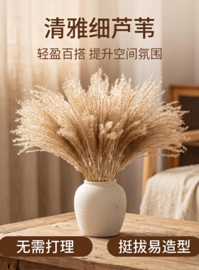 细芦苇干花桌面插花摆件田园陈设