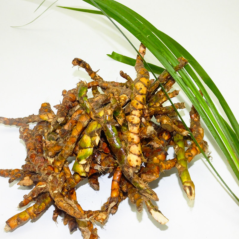 贵州茴香菖蒲根 新鲜五香根 火锅调料山萘卤鸡鸭牛羊鱼肉种植香料,鲜花速递/花卉仿真/绿植园艺,时令草本花卉,淘宝优惠券,粉丝福利购,淘宝优惠卷