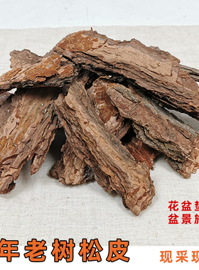 松树皮松鳞片树木花坛营养土介质覆盖物大块花盆垫材松皮原材包邮