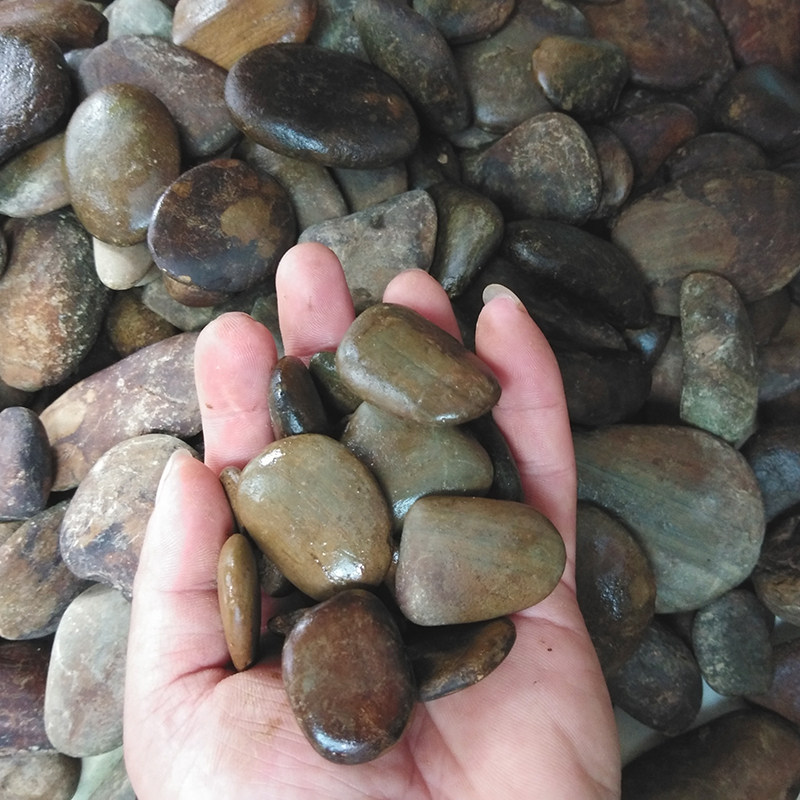 鹅卵石扁石铺路铺地石庭院盆景园艺鱼缸栅栏假山造景喷泉石爬宠石,鲜花速递/花卉仿真/绿植园艺,其它园艺用品,淘宝优惠券,粉丝福利购,淘宝优惠卷