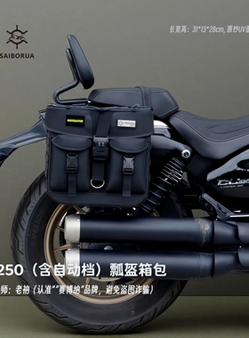 无极CU250瓢盔箱包CU525625全盔边包设计师老衲赛博纳出品贴合