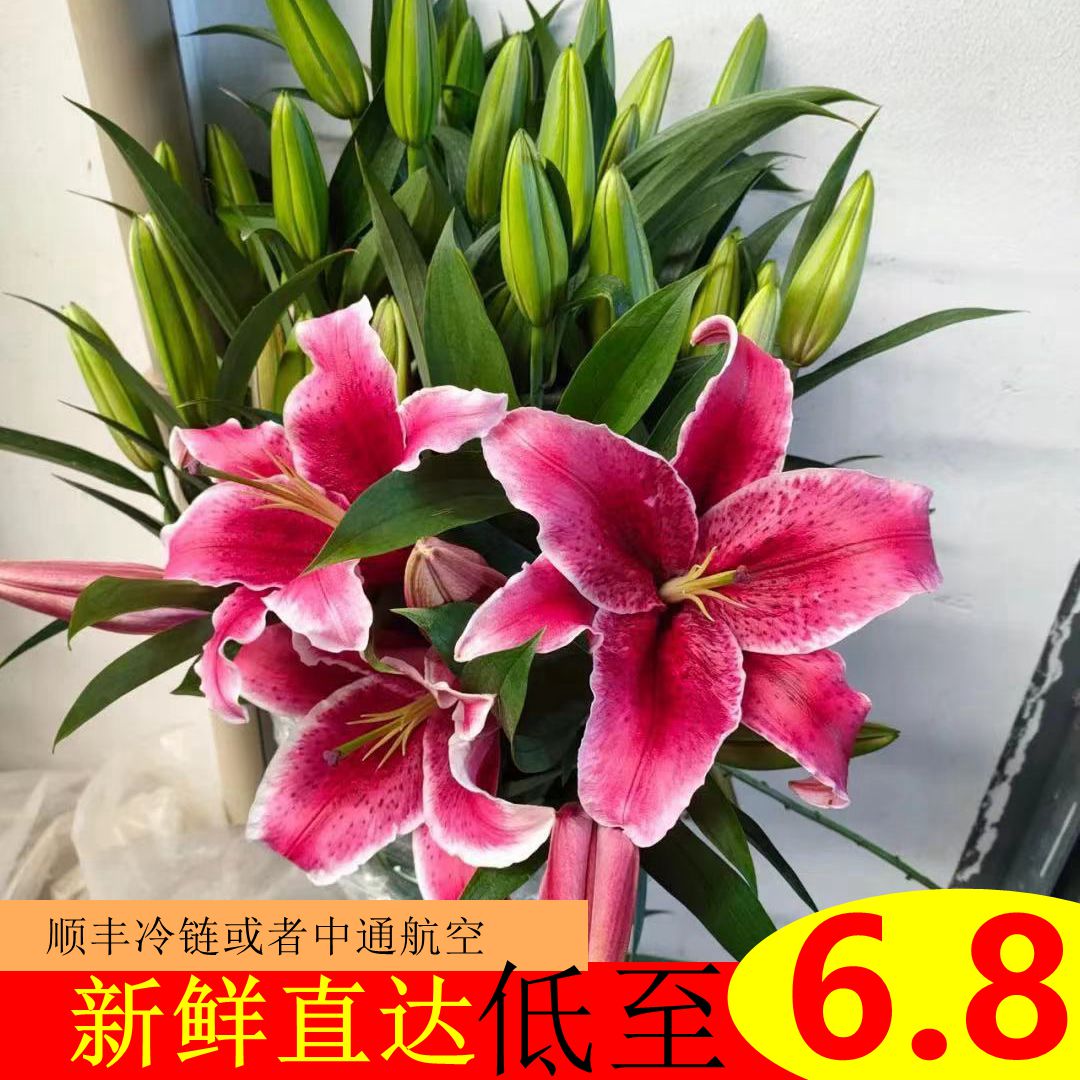 鲜花云南直发玫瑰花香水百合花 价格 怎么样 图片 鲜花云南直发玫瑰花香水百合花 价格 怎么样 图片