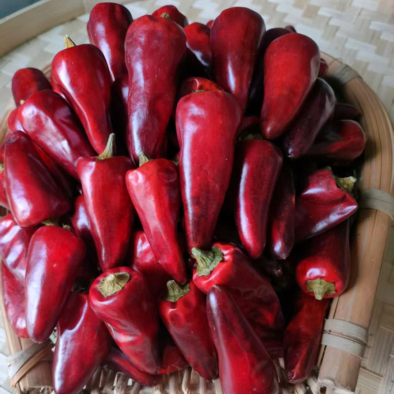 贵州子弹头干辣椒中辣朝天小500g