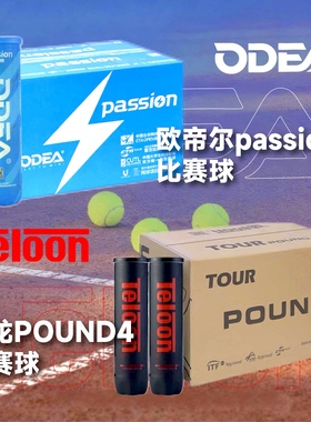天龙POUND P4/欧帝尔PASSION网球专业比赛训练球4只装整箱装耐打