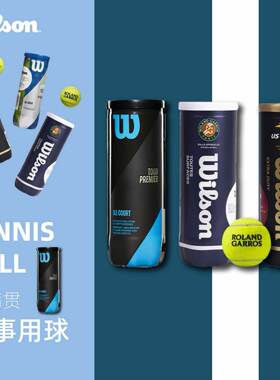 威尔胜Wilson网球法网美网专业比赛网球3粒装训练用球