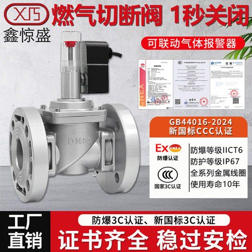 燃气报警器电磁式自动紧急切断阀
