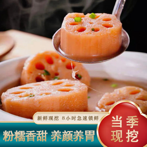 洪湖现挖现发带泥粉莲藕煲汤