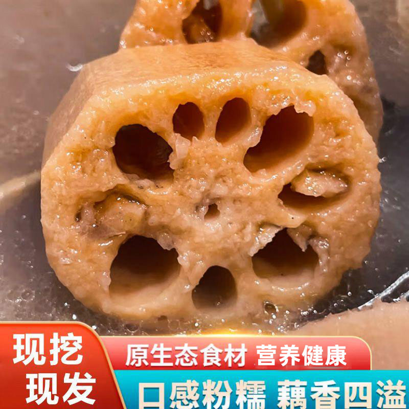 洪湖莲藕新鲜煲汤粉藕带泥莲藕炖汤糯米藕现挖现发包邮新鲜粉莲藕