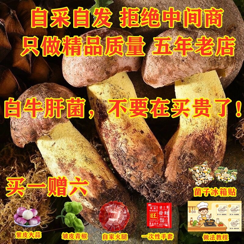 云南野生牛肝菌新鲜特产现货