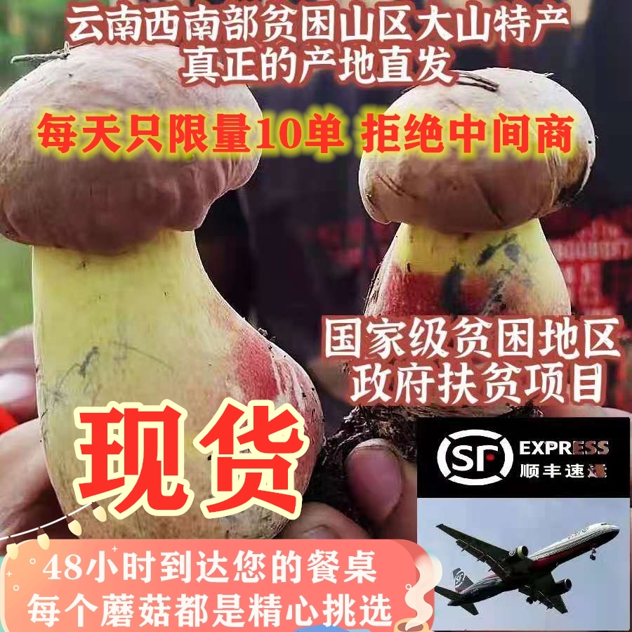 云南蘑菇野生菌美味云南现货现发