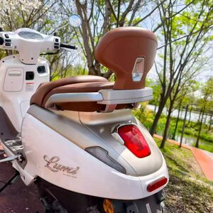 适用豪爵LUMI125改装后靠背 Lumi后靠背乘客后腰靠加厚支架无损装