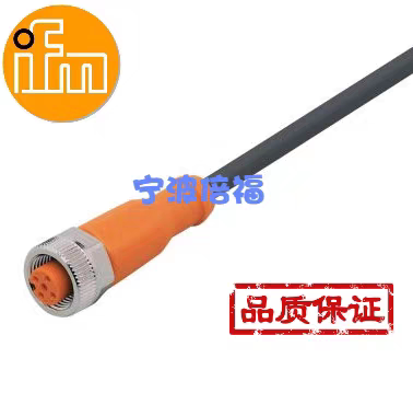 德国IFM易福门现货EVC002 EVC004 EVC005 EVC526原装正品质保一年