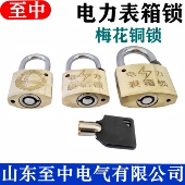 30mm梅花铜锁35mm通开电力表箱锁通用钥匙利德昆仑防水防锈铜挂锁
