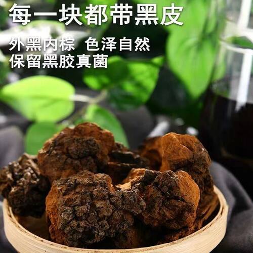 桦树茸白桦茸桦褐孔菌