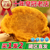 西藏野生桑黄灵芝正品 共500g 小努13年专注一斤装