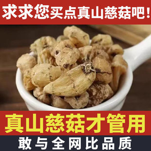 特级山慈菇中药材正品野生猫爪草中药冰球子毛慈菇山茨姑山慈姑粉