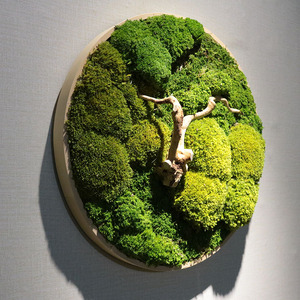 永生苔藓圆形框绿植墙壁装饰定制