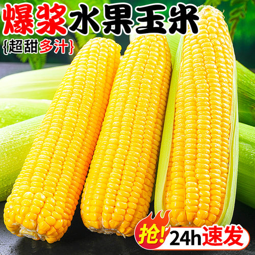 2023年爆浆甜嫩玉米！生吃即食！