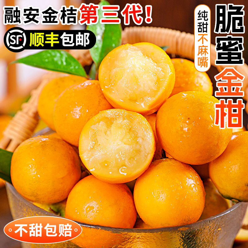 脆蜜金柑丨纯甜不麻嘴丨A+精品
