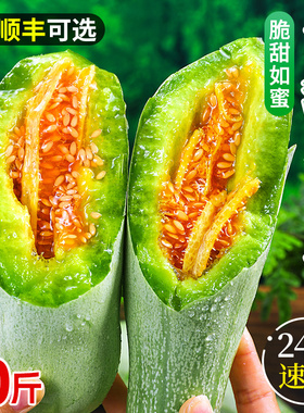 山东羊角蜜甜瓜新鲜水果10斤当季脆甜蜜瓜香瓜时令羊角脆整箱包邮