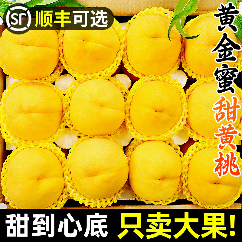 黄桃黄金蜜桃子新鲜水果当季整箱大果蒙阴蜜桃砀山毛脆甜桃包邮