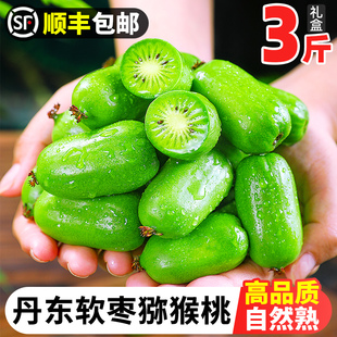 丹东软枣猕猴桃3斤迷你奇异果新鲜水果当季 圆长枣子泥猴桃5 包邮