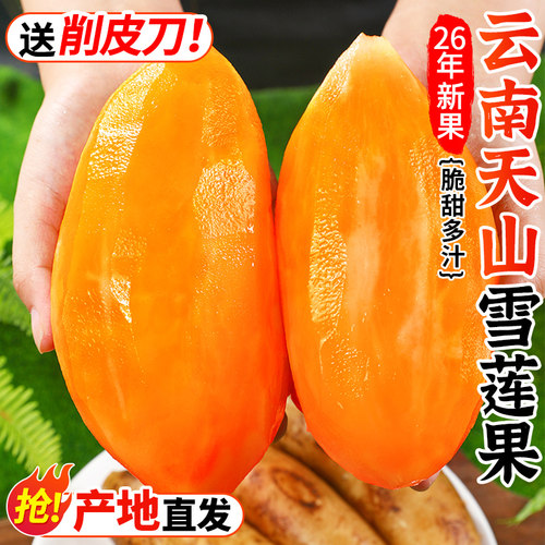 天山雪莲果，2026新果，脆甜多汁