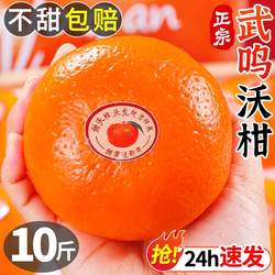 正宗广西武鸣沃柑新鲜水果当季整箱时令10沙糖斤蜜橘砂糖柑橘桔子