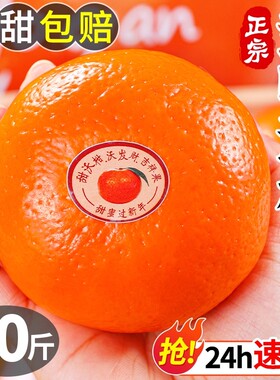 正宗广西武鸣沃柑新鲜水果当季整箱时令10沙糖斤蜜橘砂糖柑橘桔子