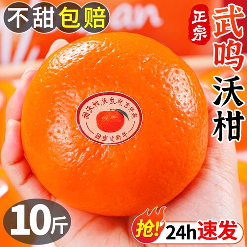武鸣沃柑丨热销99%丨热销200W+