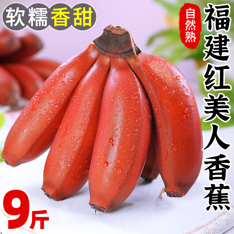 福建红美人香蕉新鲜水果现摘火龙焦芭蕉小米蕉红香焦香甜整箱包邮