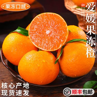 【果冻橙热卖TOP】商超品质