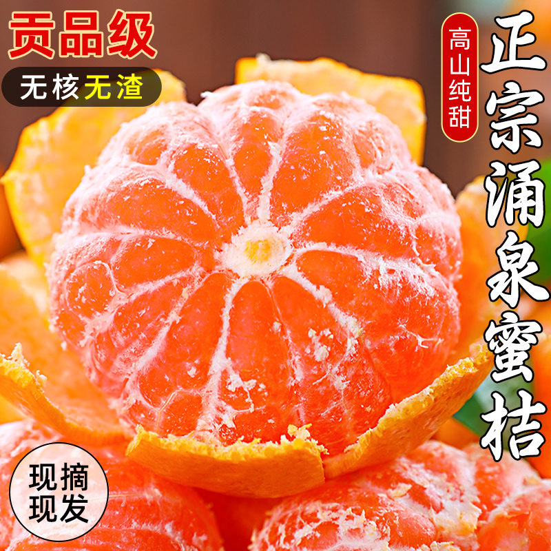 5A品质丨真涌泉蜜桔精品无籽！