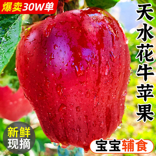 【天水花牛苹果】热销30万件！