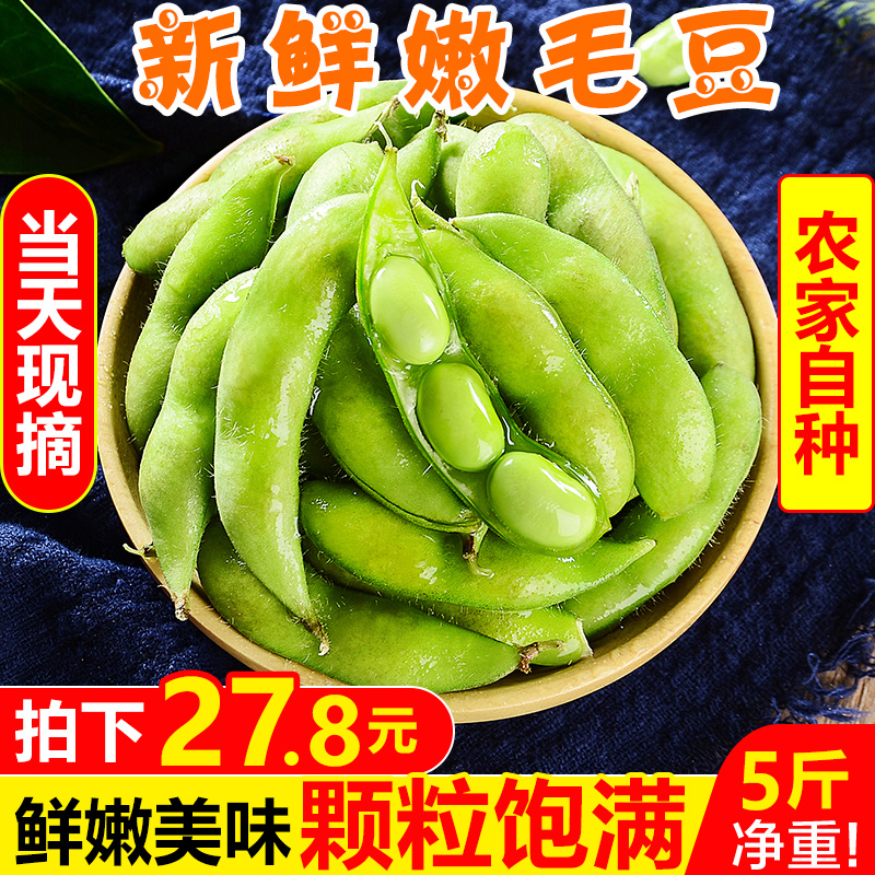 新鲜嫩毛豆5斤农家自种带壳生毛豆角现摘青大豆当季蔬菜整箱包邮