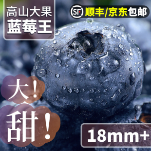 蓝莓鲜果新鲜水果云南l25蓝莓高山花香怡颗甜莓大果产地直发整箱