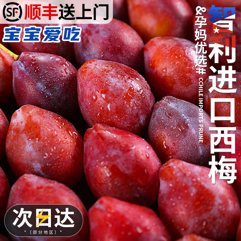 智利西梅5斤法兰西新鲜水果当季进口甜李子孕妇黑脆布林3顺丰包邮