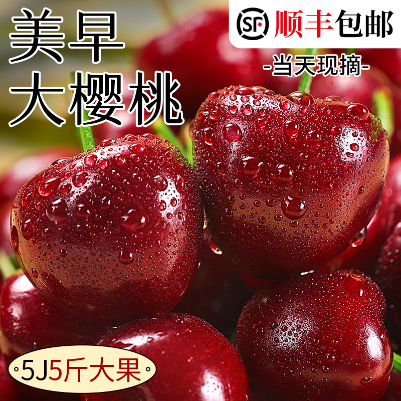 顺丰国产车厘子新鲜水果包邮当季整箱礼盒5斤新货孕妇4jjjj大樱桃