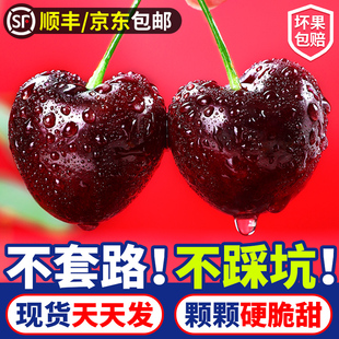 车厘子智利进口5斤现货新鲜水果大樱桃当季黑珍珠送礼女友4J礼盒