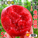 血桃5斤新鲜现摘水果老树蜜桃大果桃子蜜脆甜应当季 孕妇3整箱 包邮