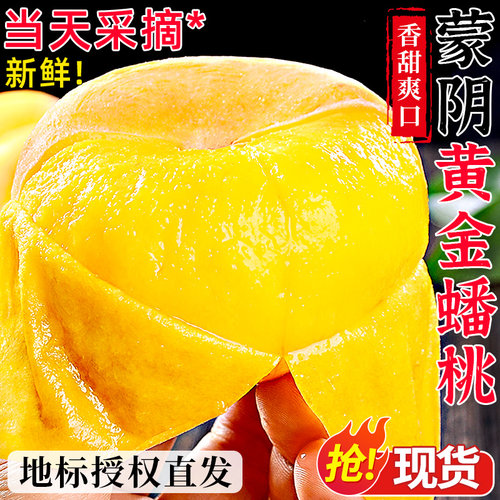正宗蒙阴黄金蟠桃|产地直发~