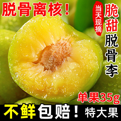 【官方推荐】正宗青脆脱骨李脆李